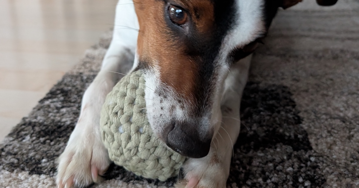 Crochet Dog Ball